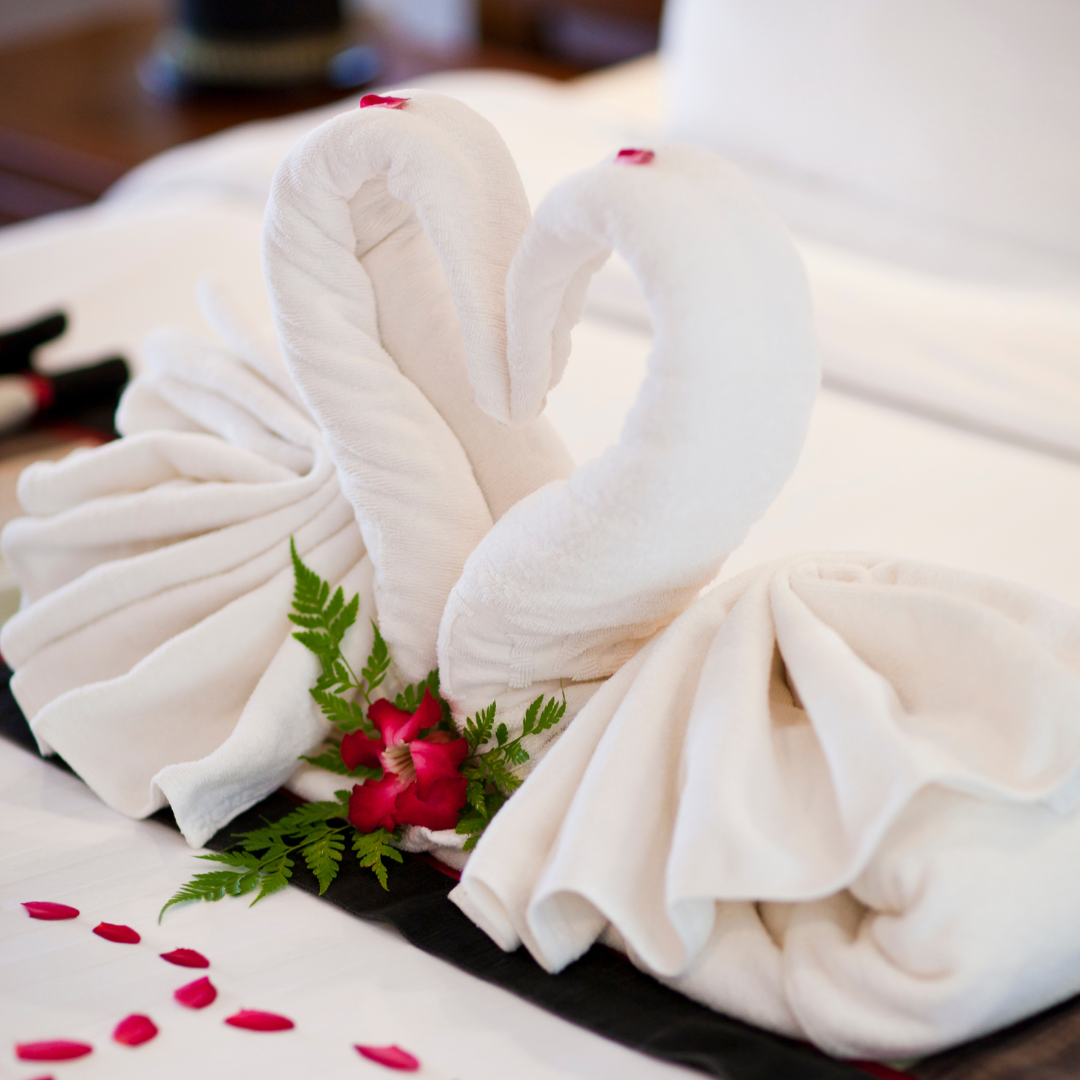 Sustainability - swan towels